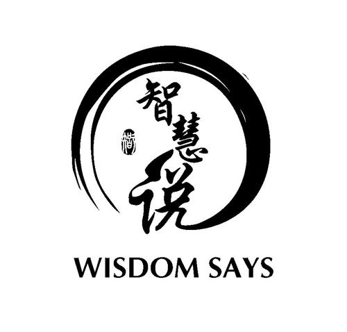 智智慧说WISDOMSAYS