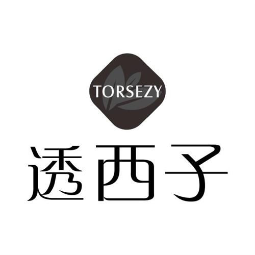 透西子TORSEZY