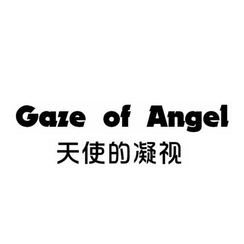 天使的凝视GAZEOFANGEL