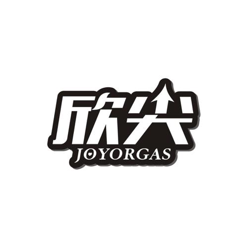 欣尖JOYORGAS