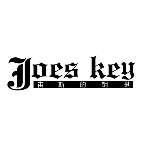 宙斯的钥匙JOESKEY