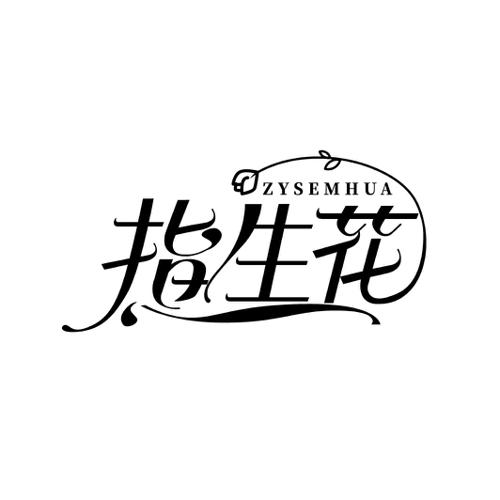 指生花ZYSEMHUA