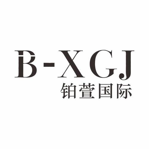 铂萱国际BXGJ