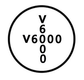 V6000