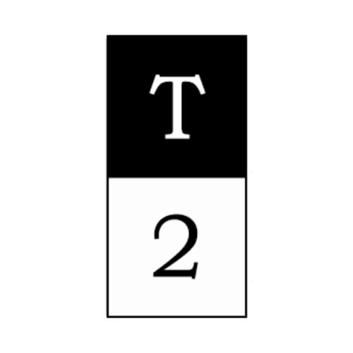 T2