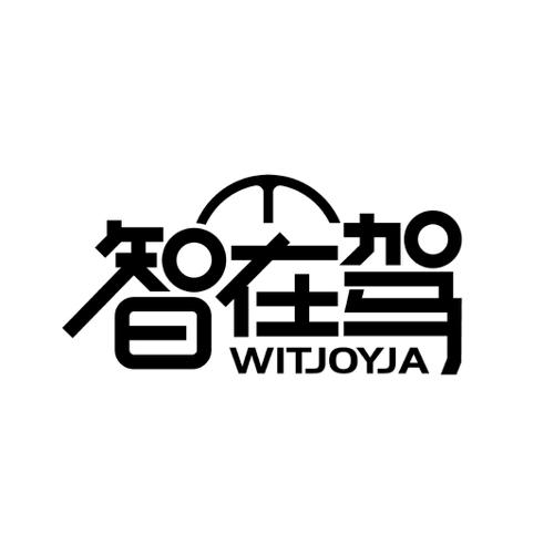 智在驾WITJOYJA