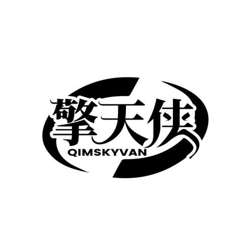 擎天侠QIMSKYVAN