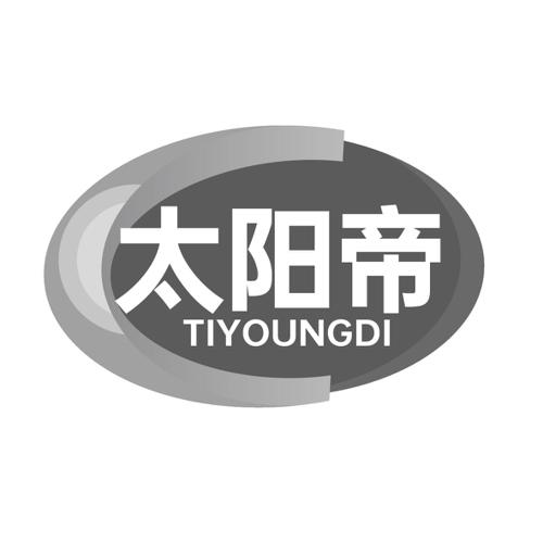 太阳帝TIYOUNGDI