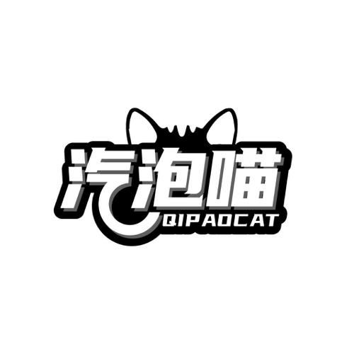 汽泡喵QIPAOCAT