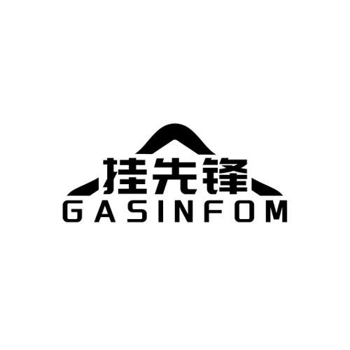 挂先锋 GASINFOM