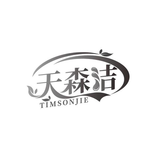 天森洁 TIMSONJIE