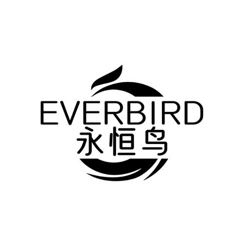 永恒鸟 EVERBIRD