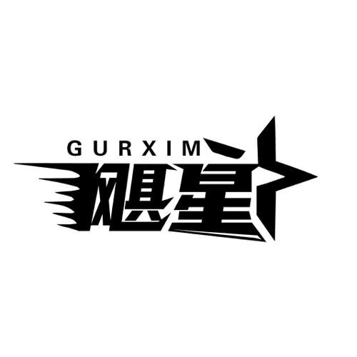 GURXIM 飓星