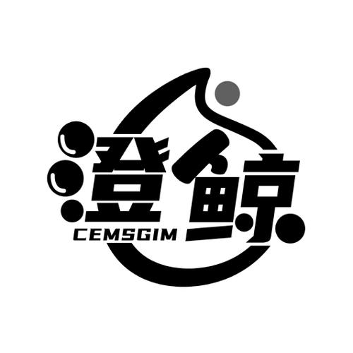 澄鲸 CEMSGIM