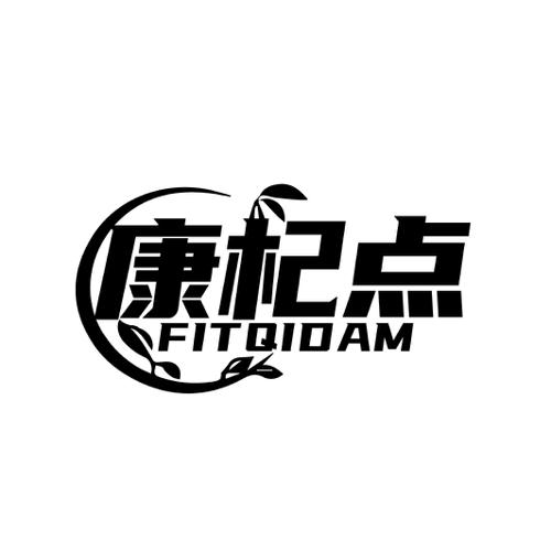 康杞点 FITQIDAM