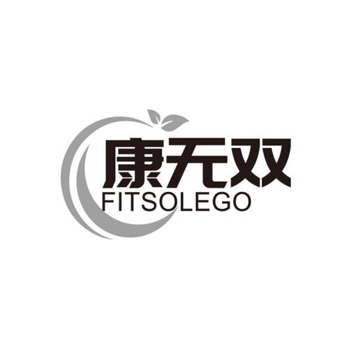 康无双 FITSOLEGO