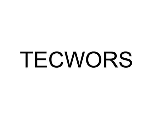 TECWORS