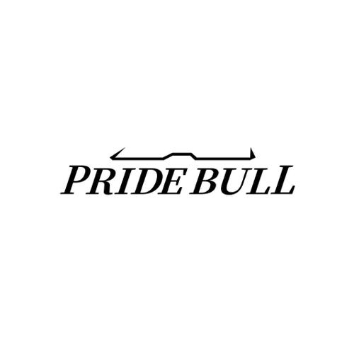 PRIDEBULL