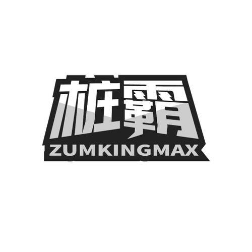 桩霸 ZUMKINGMAX