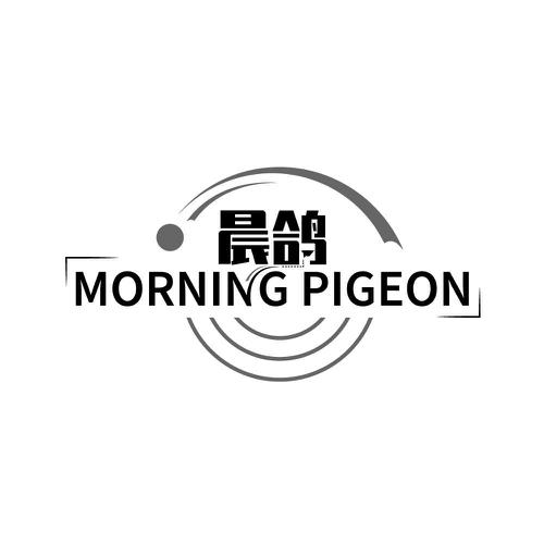 晨鸽 MORNING PIGEON