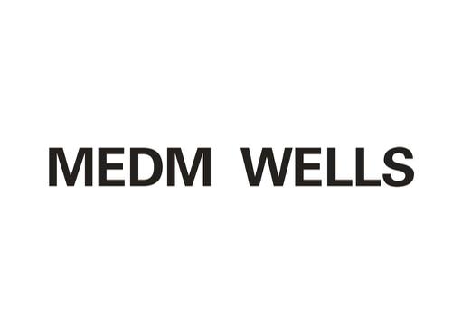 MEDM WELLS