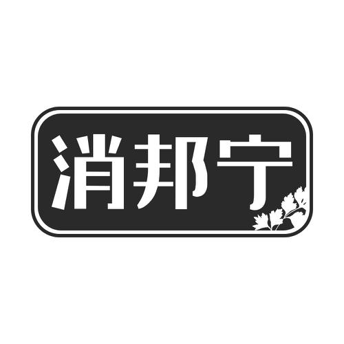 消邦宁