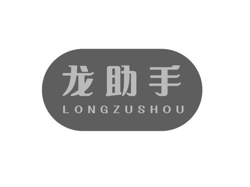 龙助手 LONGZUSHOU