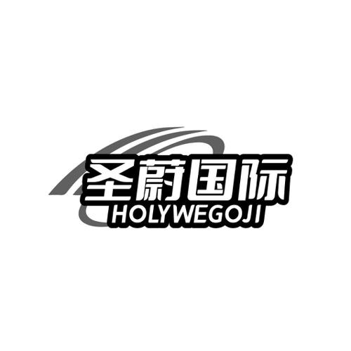 圣蔚国际 HOLYWEGOJI