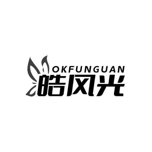 皓风光 OKFUNGUAN