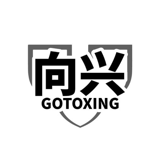 向兴 GOTOXING