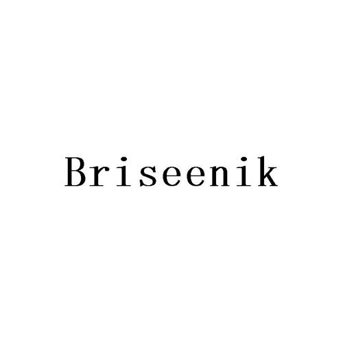 BRISEENIK