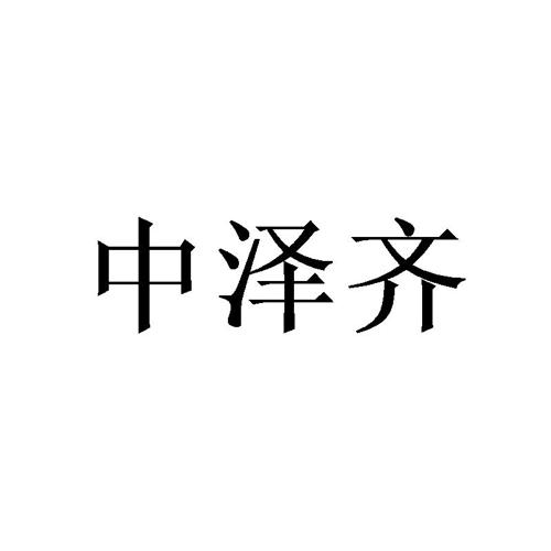 中泽齐