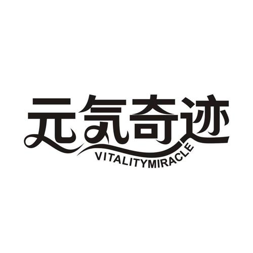 元奇迹 VITALITYMIRACLE