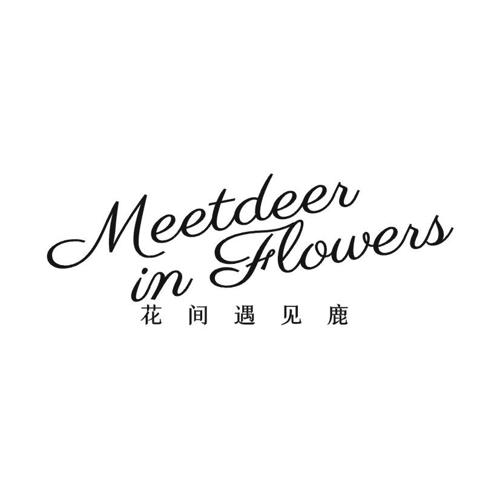 花间遇见鹿  MEETDEER IN FLOWERS