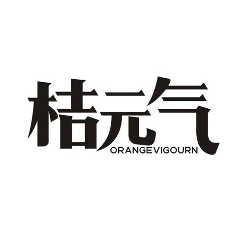 桔元气 ORANGEVIGOURN