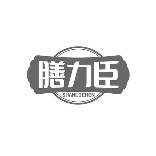 膳力臣