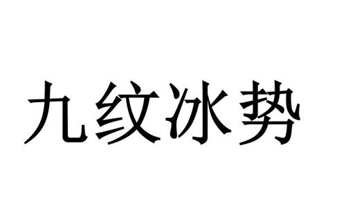 第43类商标-九纹冰势 九纹冰势