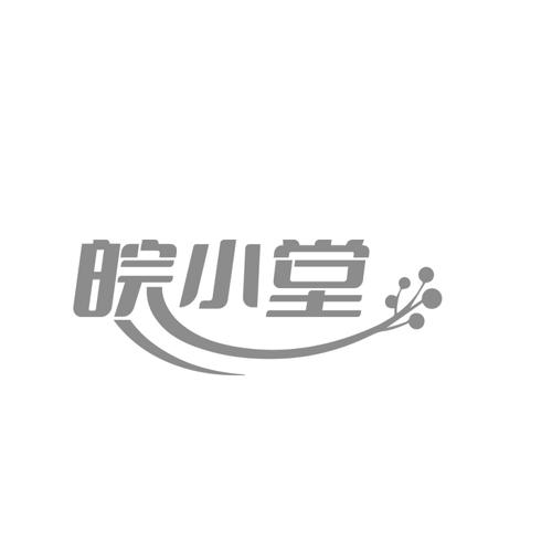 皖小堂