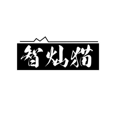 智灿猫