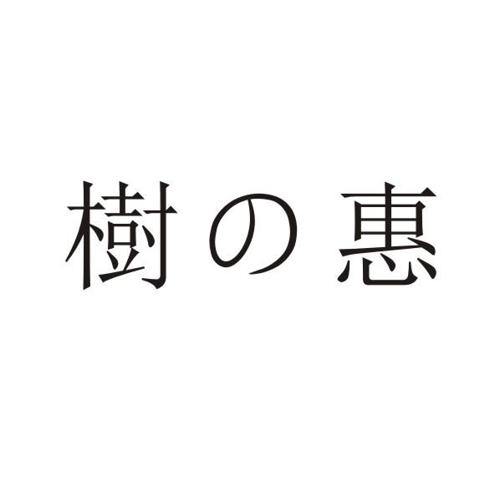 树惠