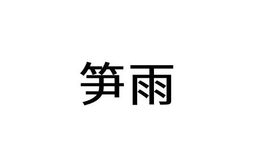 笋雨