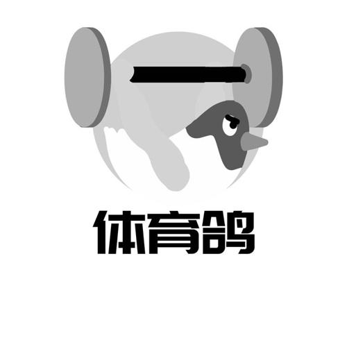 体育鸽