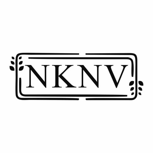 第7类商标-NKNV NKNV