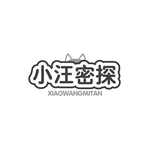 小汪密探