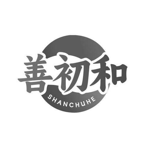 第5类商标-善初和 善初和