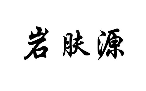 第3类商标-岩肤源 岩肤源