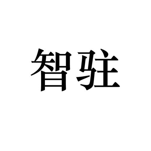智驻