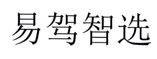 易驾智选