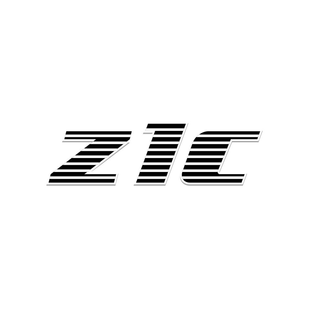 第14类商标-Z1C Z1C