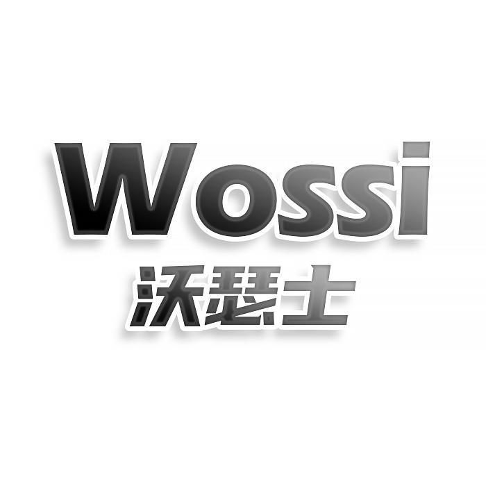 第21类商标-WOSSI 沃瑟士 WOSSI 沃瑟士